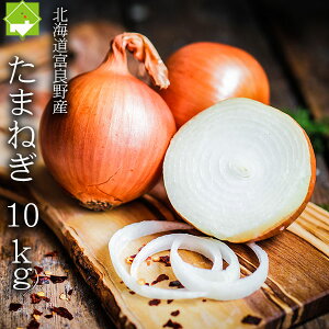 ܂˂ kC xǖY _ ʔK 10kg LTCY 