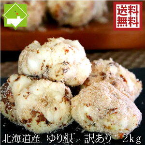 荪@kCxǖY@󂠂@S@2kg@@ʓrn悪܂