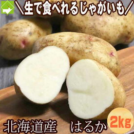 生で食べれるジャガイモ はるか 送料無料 2kg 北海道産 ジャガイモ 別途送料が発生する地域あり