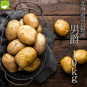 2025NHns\@Ⴊ j  10kg LTCY kCY WKC ʓrn悠