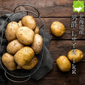 Ⴊ j  1kg LTCY kCY WKC ʓrn悠