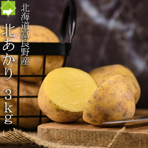 2025NHns\@Ⴊ k  3kg kCY WKC ʓrn悠