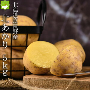 kCY ik^L^AJj 5kg  zNzN Â lCႪ Î悤Ȗ Eƒp ʓrn悠