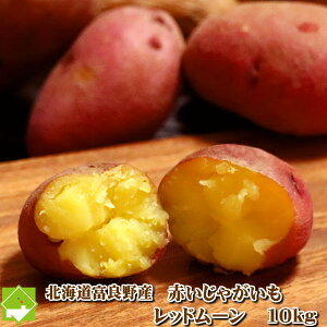 2025NHns\@Ⴊ kCY 󏭂ȂႪ bh[ 10kg @ʓrn悠@ws