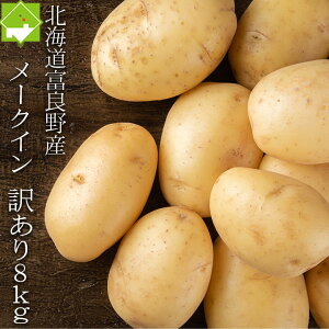 Ⴊ [NC  󂠂 S 2STCY 8kg kCY WKC ʓrn悠@2025NH