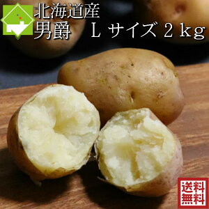 Ⴊ j  2kg LTCY kCY WKC 2Zbgw2Zbgw4kgʂ8kg@ʓrn悠