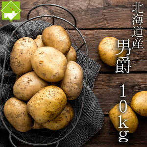 Ⴊ j  10kg S`LTCY kCY WKC ʓrn悠