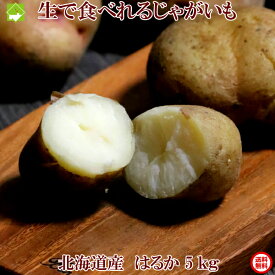 生で食べれるジャガイモ はるか 送料無料 5kg 北海道産 ジャガイモ 別途送料が発生する地域あり
