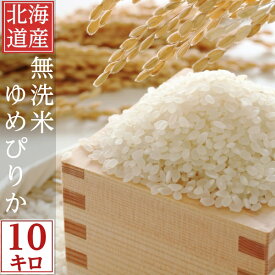 無洗米 10kg 送料無料 ゆめぴりか 北海道産 令和5年産 10月収穫