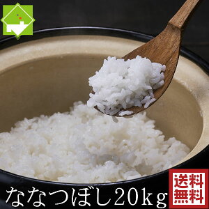  20kg  ȂȂڂ kCxǖY ߘa6NY 10n ʓrn悠