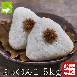  5kg  ӂ kCY 10n yVX[p[SALE
