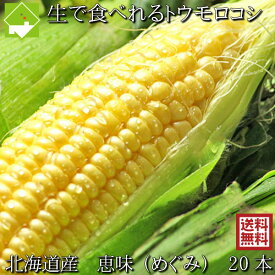 楽天市場 とうもろこし めぐみの通販 楽天市場 とうもろこし めぐみの通販