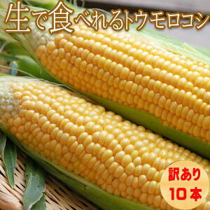 Ƃ낱  _͔| kCY ŐHׂ bi߂݁j 󂠂 MTCY 10{ ʓrn悠 ws