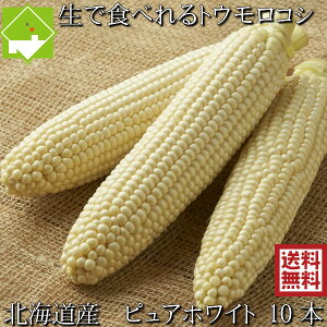 白 とうもろこし 生の人気商品 通販 価格比較 価格 Com