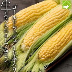 nEX͔| Ƃ낱  _͔| kCY ŐHׂ S[hbV 2LTCY 10{ 7{Jn ʓrn悠 ws