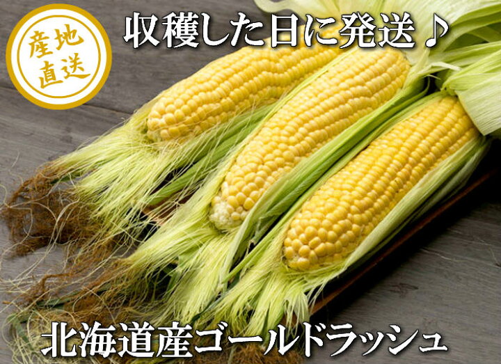 楽天市場】ハウス栽培 とうもろこし 送料無料 低農薬栽培 北海道産 生 