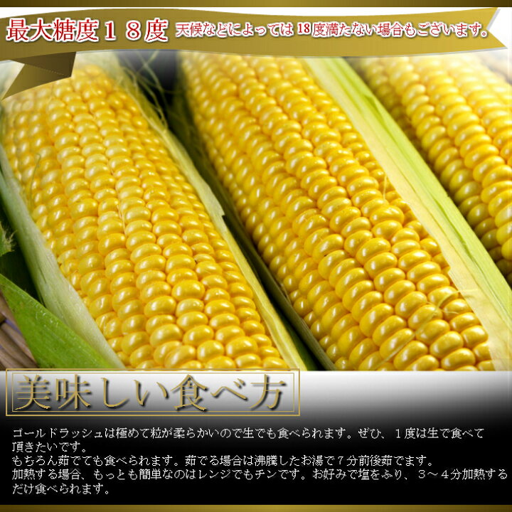 楽天市場】ハウス栽培 とうもろこし 送料無料 低農薬栽培 北海道産 生 