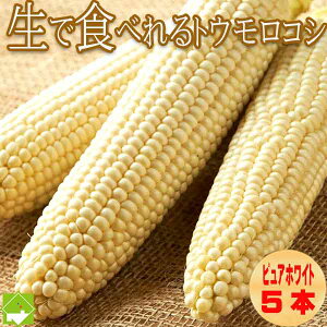 Ƃ낱  _͔| kCY ŐHׂ gERV sAzCg 5{ nEX͔| ʓrn悠 ws@7{Jn