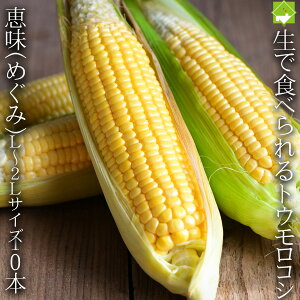 ŐHׂƂ낱@bi߂݁j L2LTCY 10{ kC xǖY  ʓrn悠 ws