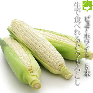 Ƃ낱  _͔| kCY ŐHׂ gERV sAzCg 5{ nEX͔| ʓrn悠 ws@7{Jn