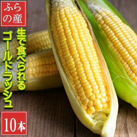 とうもろこし 送料無料 低農薬栽培 北海道産 生で食べれる ゴールドラッシュ 2Lサイズ 10本 別途送料が発生する地域あり 日時指定不可