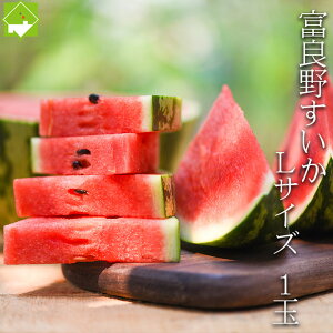  kC xǖY XCJ 1 5kgO  ʓrn悠