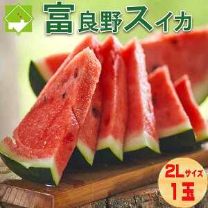  kC xǖY ւXCJ 2LTCY 1 6kgO  ʓrn悠