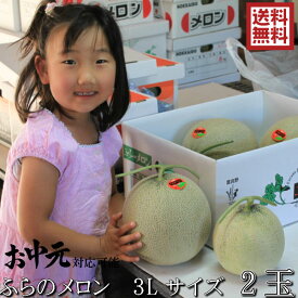 ふらのメロン 北海道富良野産　赤肉メロン 3Lサイズ 2kg以上 2玉 送料無料 お中元ギフト 日時指定不可 別途送料が発生する地域あり ご予約販売