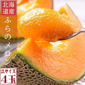 ふらのメロン 北海道富良野産　赤肉メロン 2Lサイズ 4玉 送料無料 お中元ギフト 日時指定不可 別途送料が発生する地域あり