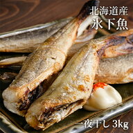 こまい 一夜干し 3kg 北海道産 送料無料 生干し コマイ 氷下魚 干物 国産 おつまみ 珍味 海鮮 ギフト 取…
