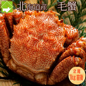 kCY l䥂ŖъI ^ 500gO× 2 v1kgO I J^Kj  PKj уKj  Jj j Ε N v[g 