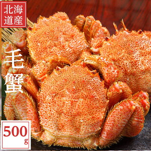 уKj Ε  kCY ъI 1i 500g j@ʓrn悠