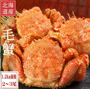 毛ガニ お歳暮 北海道産 毛蟹 1.2kg前後 2〜3尾入り 堅蟹 カタガニ かたがに ケガニ 毛ガニ かに カニ お祝い お歳暮 お年賀 プレゼント お中元