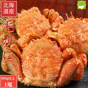 уKj Ε  kCY ъI 1 400gȏ @ʓrn悠