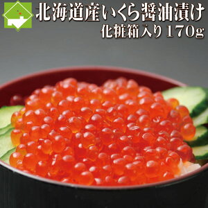 ݖЂ  170g kCY Y 嗱 ϔ