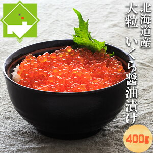 ݖЂ  400gi200g×2j kCY Y 嗱 ϔ