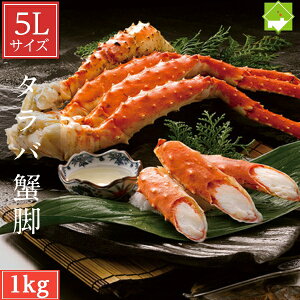 ^oKj N ΊI 1kgO {C Ⓚ  Jj I ΂ ΊI ^oI Ε Ε NX}X Mtg v[g