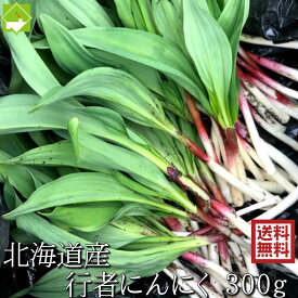山菜 行者にんにく 北海道産 天然物 行者ニンニク 300g　日時指定不可　別途送料が発生する地域あり　2025年ご予約販売
