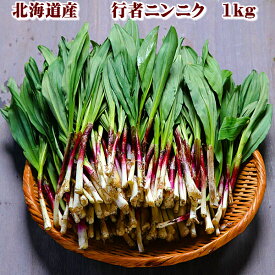 山菜 行者にんにく 北海道産 天然物 行者ニンニク 1kg　日時指定不可