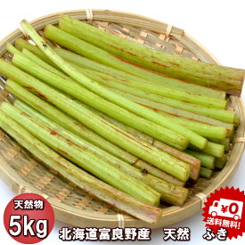 山菜 ふき 北海道産 天然物 フキ 5kg　日時指定不可