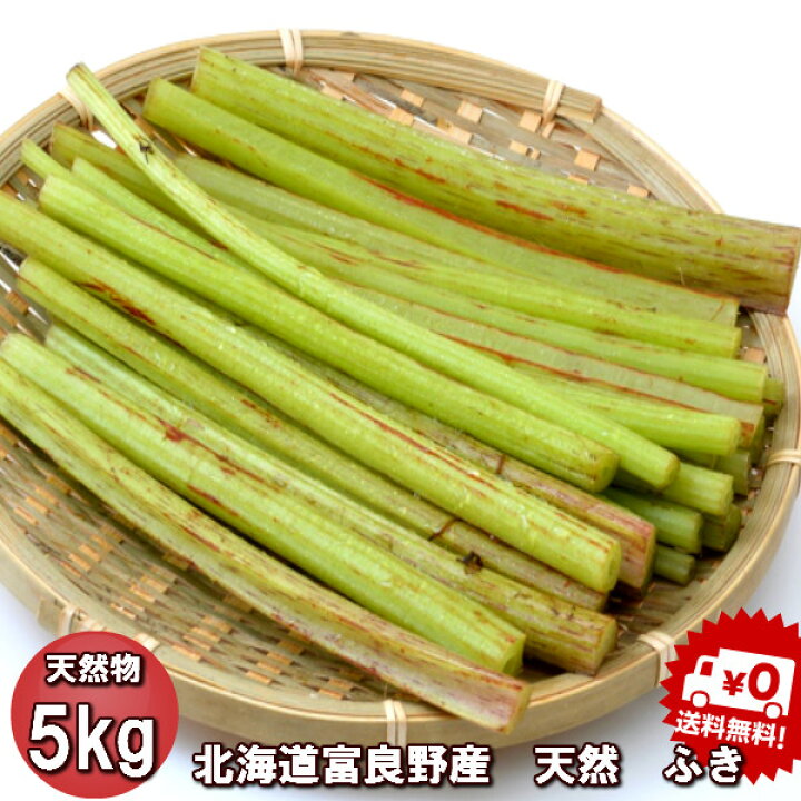 楽天市場】山菜 ふき 北海道産 天然物 フキ 5kg 日時指定不可 : 富良野 
