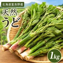 楽天市場】山うど 山ウド（食品）の通販