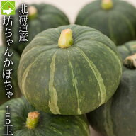 かぼちゃ 送料無料 北海道 富良野産 坊ちゃんかぼちゃ 15玉