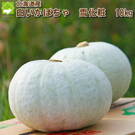 白い かぼちゃ 北海道富良野産 雪化粧 10kg 4から8玉入り