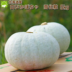  ڂ kCxǖY ቻ 5kg 23ʓ