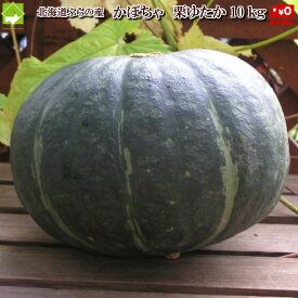 かぼちゃ 北海道 富良野産 栗ゆたか 10kg 4から8玉入り 2024年ご予約販売