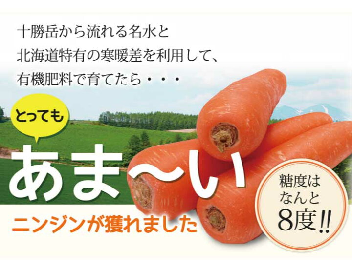 楽天市場】にんじん 訳あり 20kg 北海道 富良野産 人参 送料無料 別途  