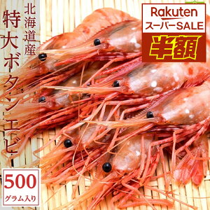 kCY  {^Gr 500g ڂ񂦂 OCV CV Gr  CN {^CV  ⓀGr Ⓚ p O 蕨  pI Mtg v[g ʓr