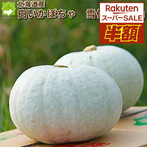  ڂ kCxǖY ቻ 10kg 48ʓ