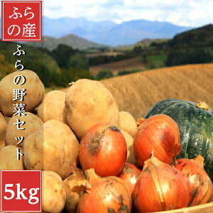 kCY _ ؃Zbg 5kgl lߍ킹 VN {   Mtg  v[g  Y N _ {̖ l炵 ؃Zbg BBQ ʓrn
